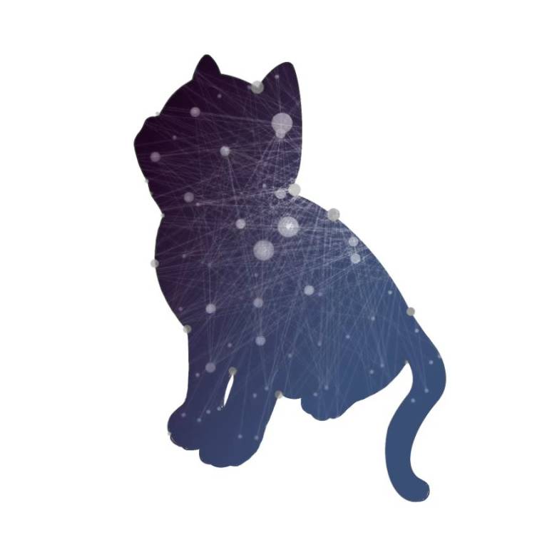 NeuralCat
